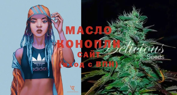 гидра Абаза